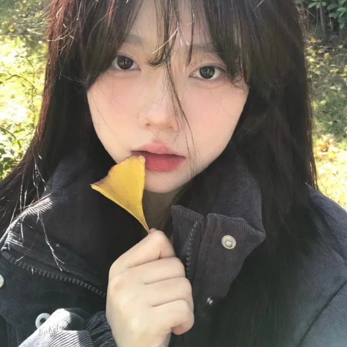最美的乡村